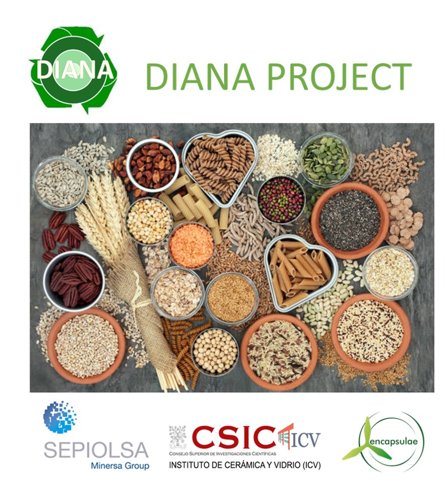 DIANA PROJECT 1