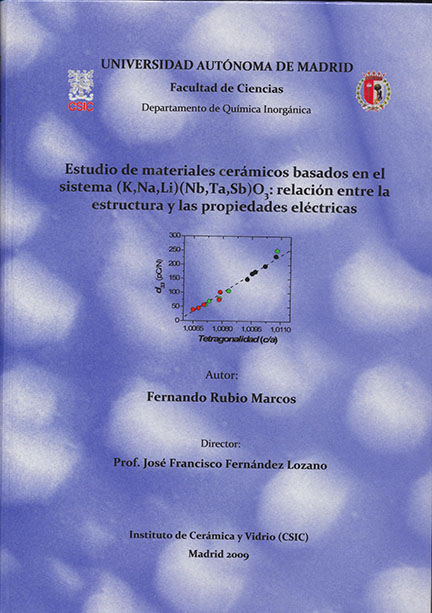 tesis fernando